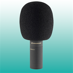 Sennheiser MKH 8050 Microphone Review