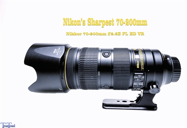 レンズ(ズーム)Nikon 70-200mm f/2.8E FL ED VR、Arcrest