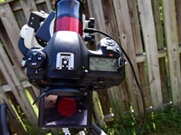 Nikon D500 used with a Daystar Camera Quark for Solar imaging