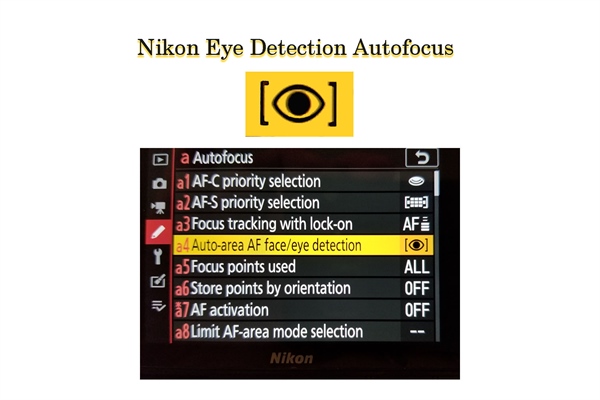 Nikon Z Eye Detection and AF Improvements Firmware Update