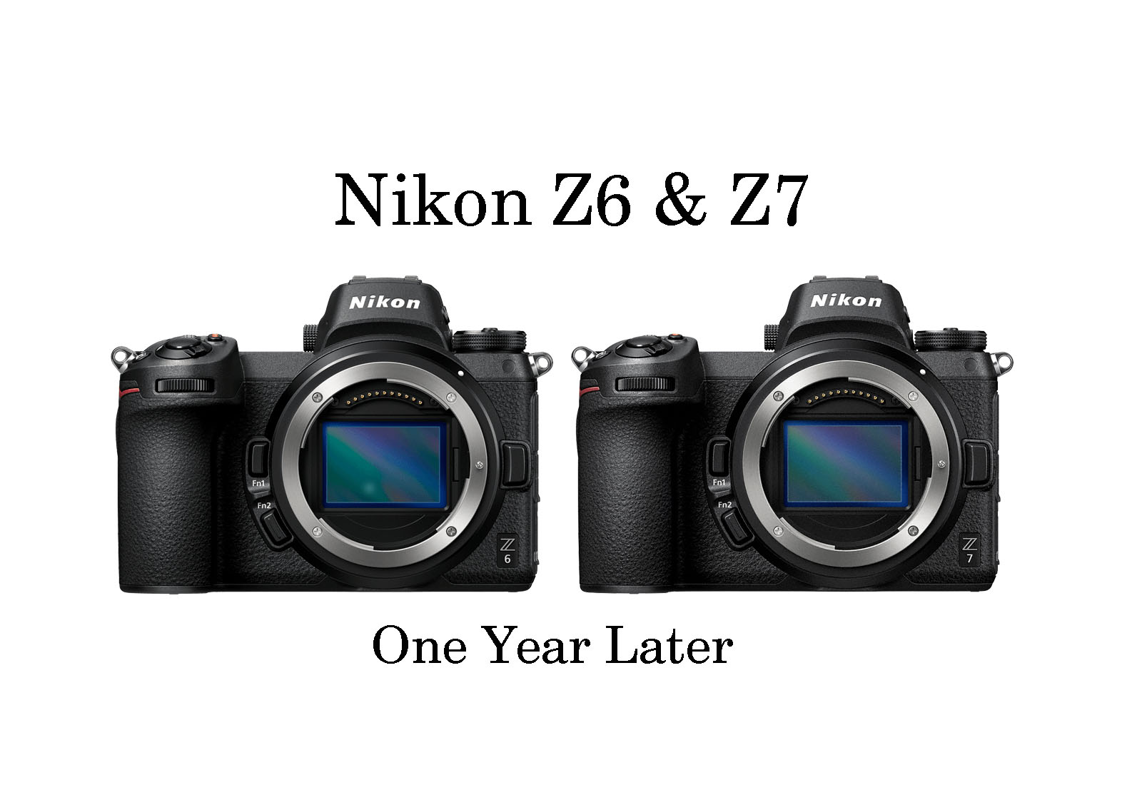 Nikon z5 ii. Nikon z7 vs Nikon z6. Fujifilm xt4 Nikon z6. Сравнение размеров на сайте Никон. Сравнение размеров предметов на сайте Никон.