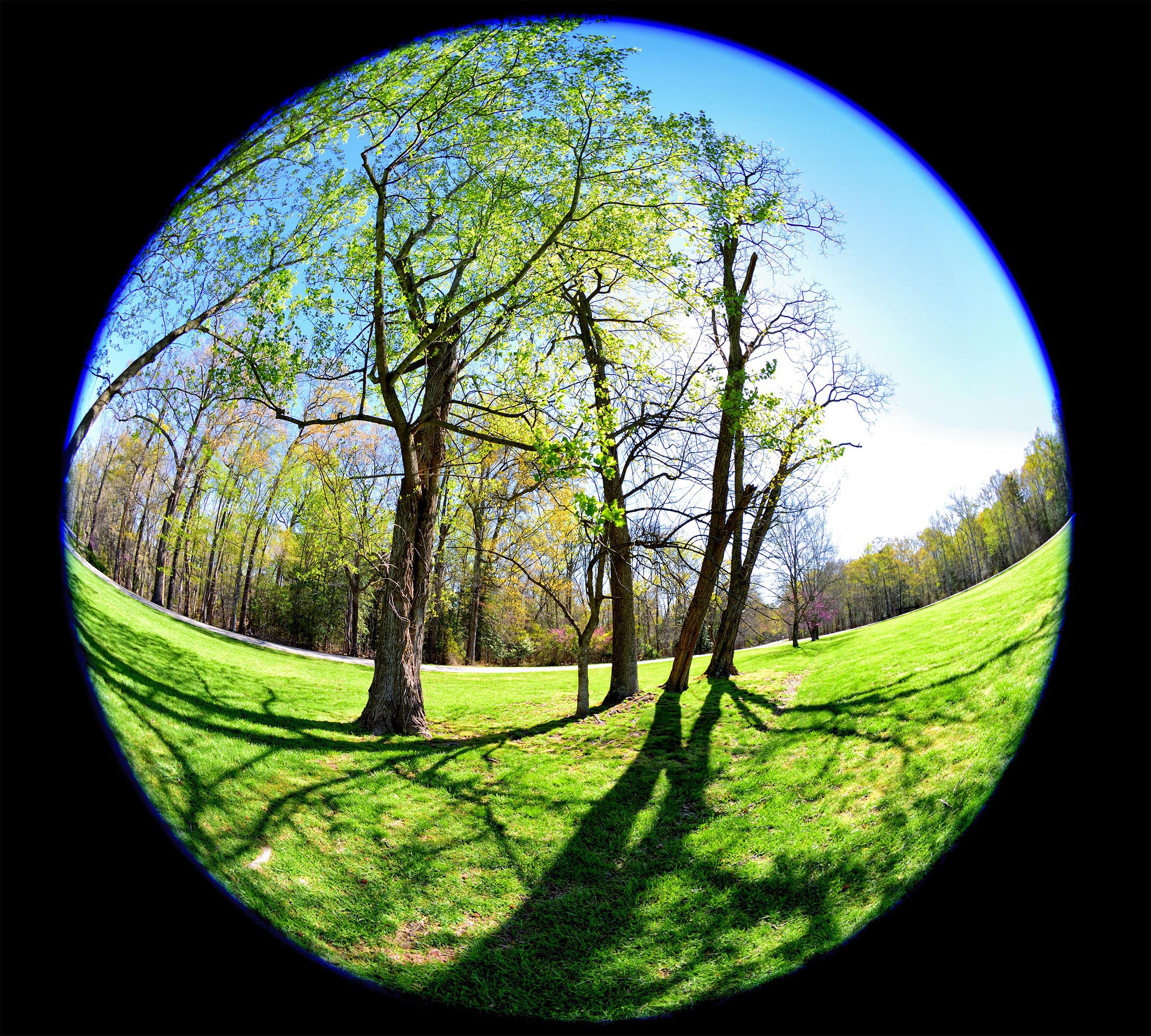 Sigma Fisheye Lens 8mm F 3 5 Images With Review